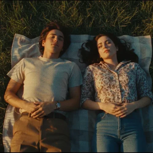 Plano cenital de una pareja tumbada boca arriba sobre una manta en un prado al atardecer, mirando al cielo y cogidos de la mano, con un estilo visual cálido y cinematográfico.